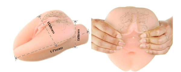 Thông số kích thước chi tiết của hai phiên bản âm đạo giả AD20A