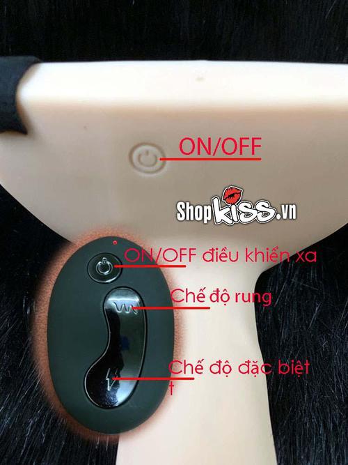 Ảnh minh họa cách điều khiển các chế độ rung của dương vật giả DV70 bằng remote