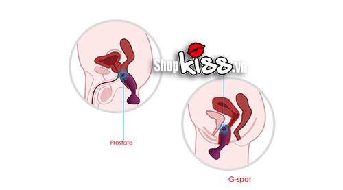Cơ chế kích thích tuyến tiền liệt nam và điểm G nữ của Svakom Julie DC89N