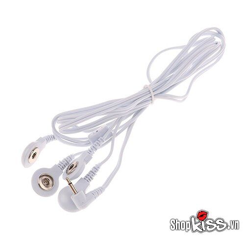 Hai bộ dây dẫn đi kèm trong combo DC95 cho phép kết nối nhiều điểm cùng lúc