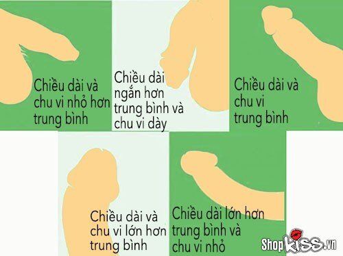 Chi tiết cận cảnh cấu trúc và đặc điểm bề mặt của dương vật nam giới